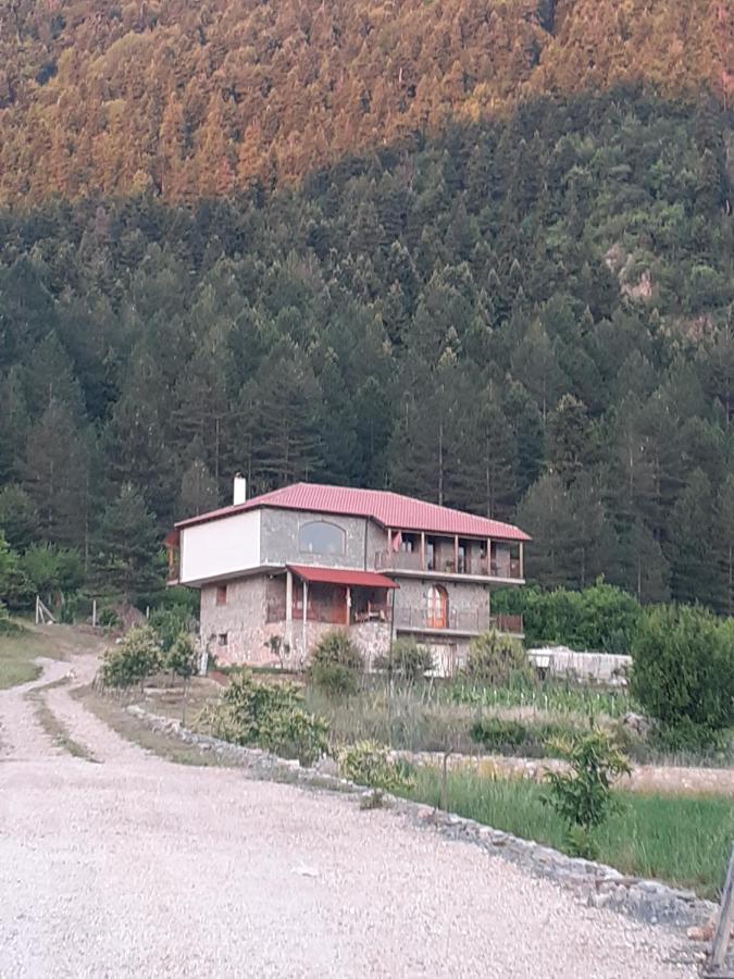 Hotel Bujtina Vila Dodo Leskovik Exterior foto