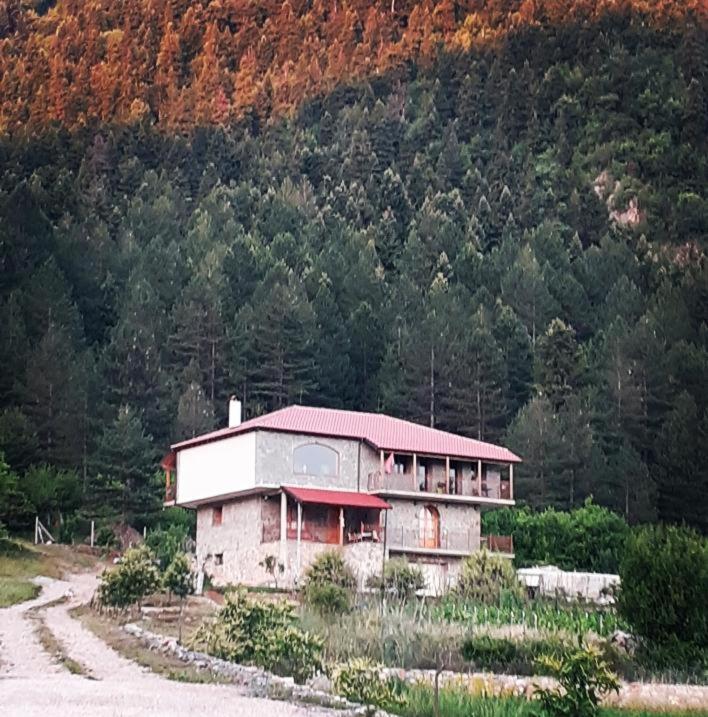 Hotel Bujtina Vila Dodo Leskovik Exterior foto